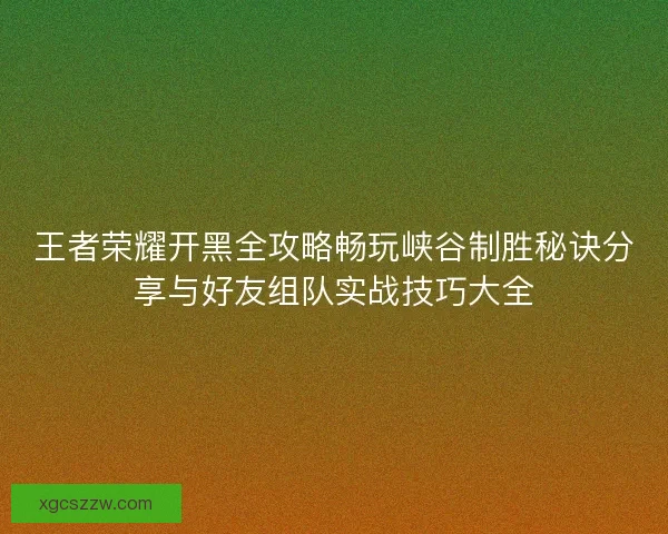 王者荣耀开黑全攻略畅玩峡谷制胜秘诀分享与好友组队实战技巧大全