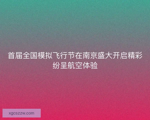 首届全国模拟飞行节在南京盛大开启精彩纷呈航空体验