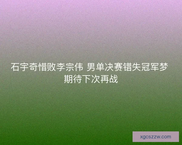 石宇奇惜败李宗伟 男单决赛错失冠军梦 期待下次再战