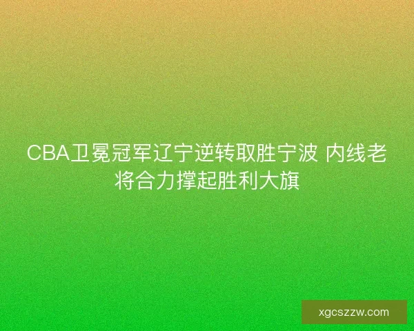 CBA卫冕冠军辽宁逆转取胜宁波 内线老将合力撑起胜利大旗